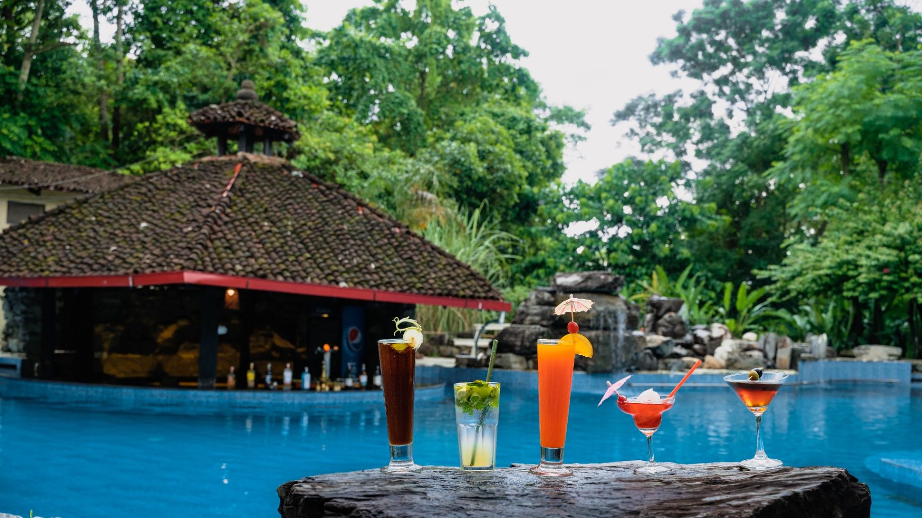 Siddhartha Wildlife Retreat thumbnail 15