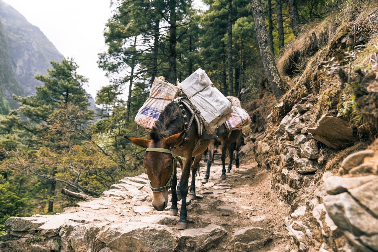Mountain Lodges of Nepal - Monjo thumbnail 9
