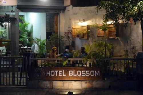 Hotel Blossom thumbnail 3