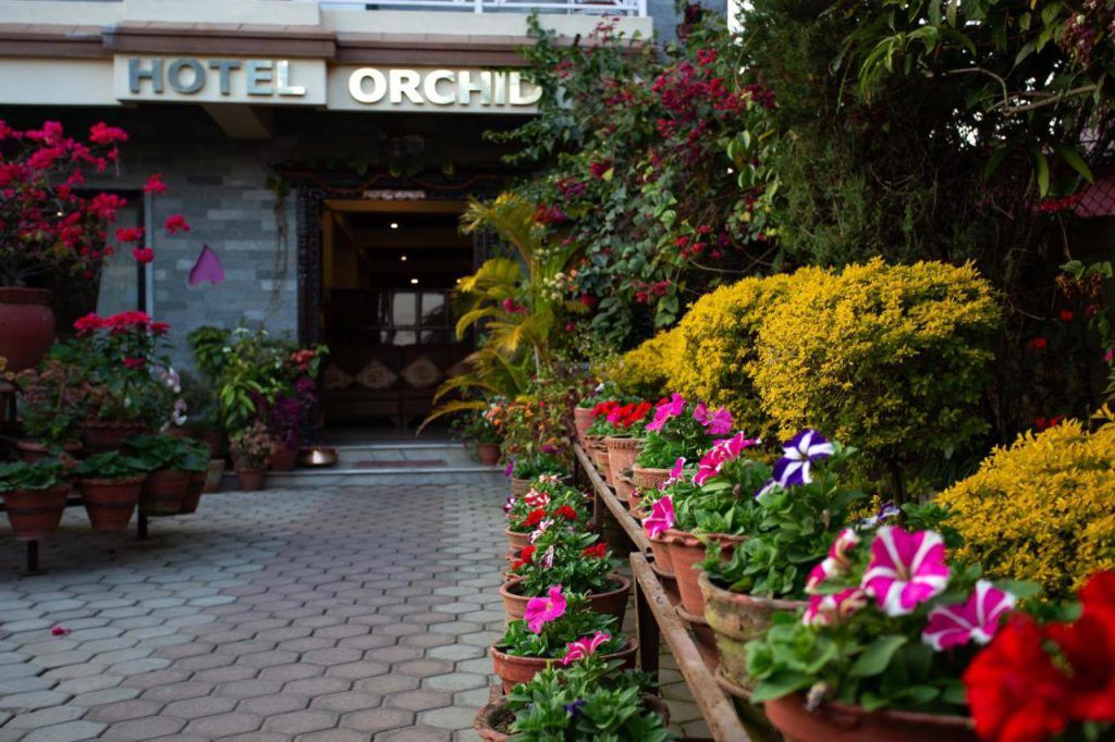 Hotel Orchid thumbnail 18