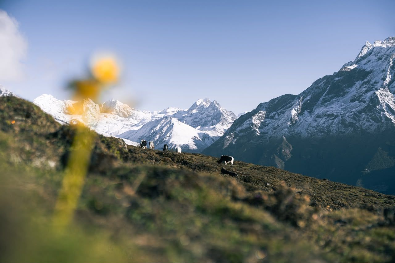 Mountain Lodges Of Nepal - Kongde thumbnail 20