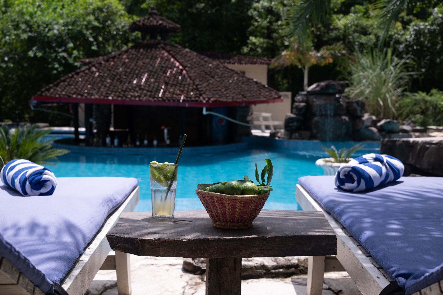 Siddhartha Wildlife Retreat thumbnail 10