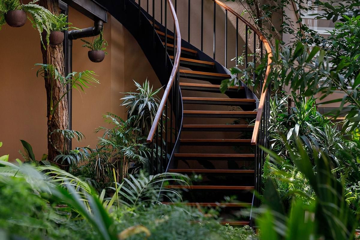 Hotel Thrive — A Tropical Courtyard thumbnail 2