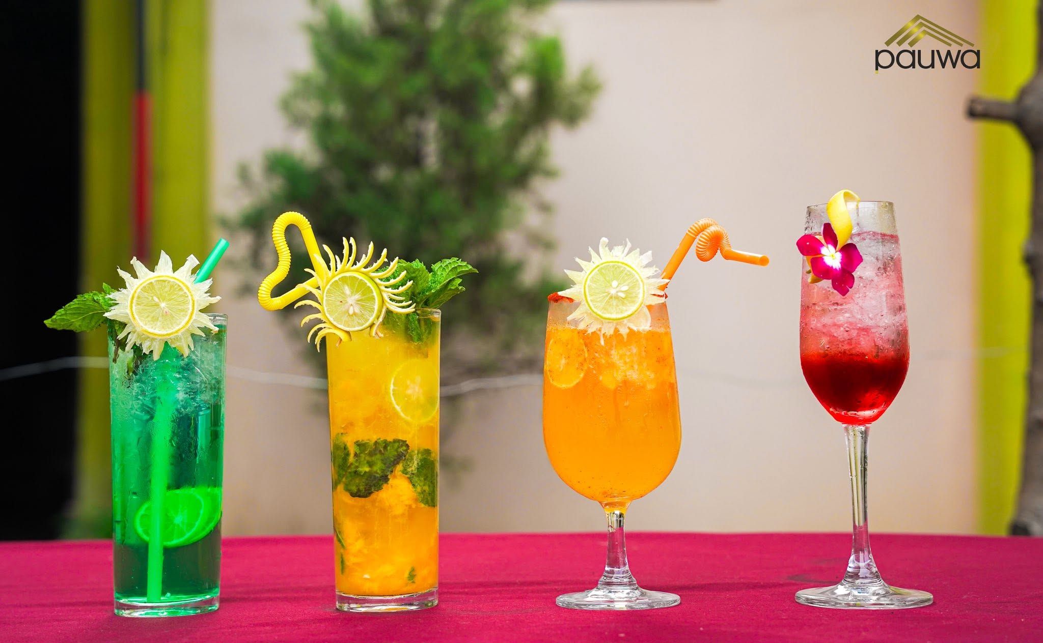 Hotel Pauwa thumbnail 5