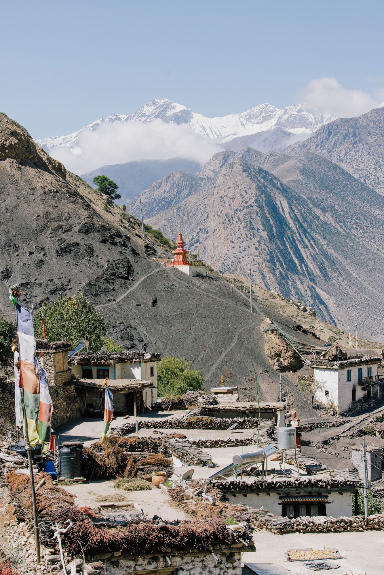 Shinta Mani Mustang  thumbnail 8