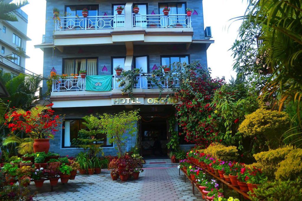 Hotel Orchid thumbnail 17