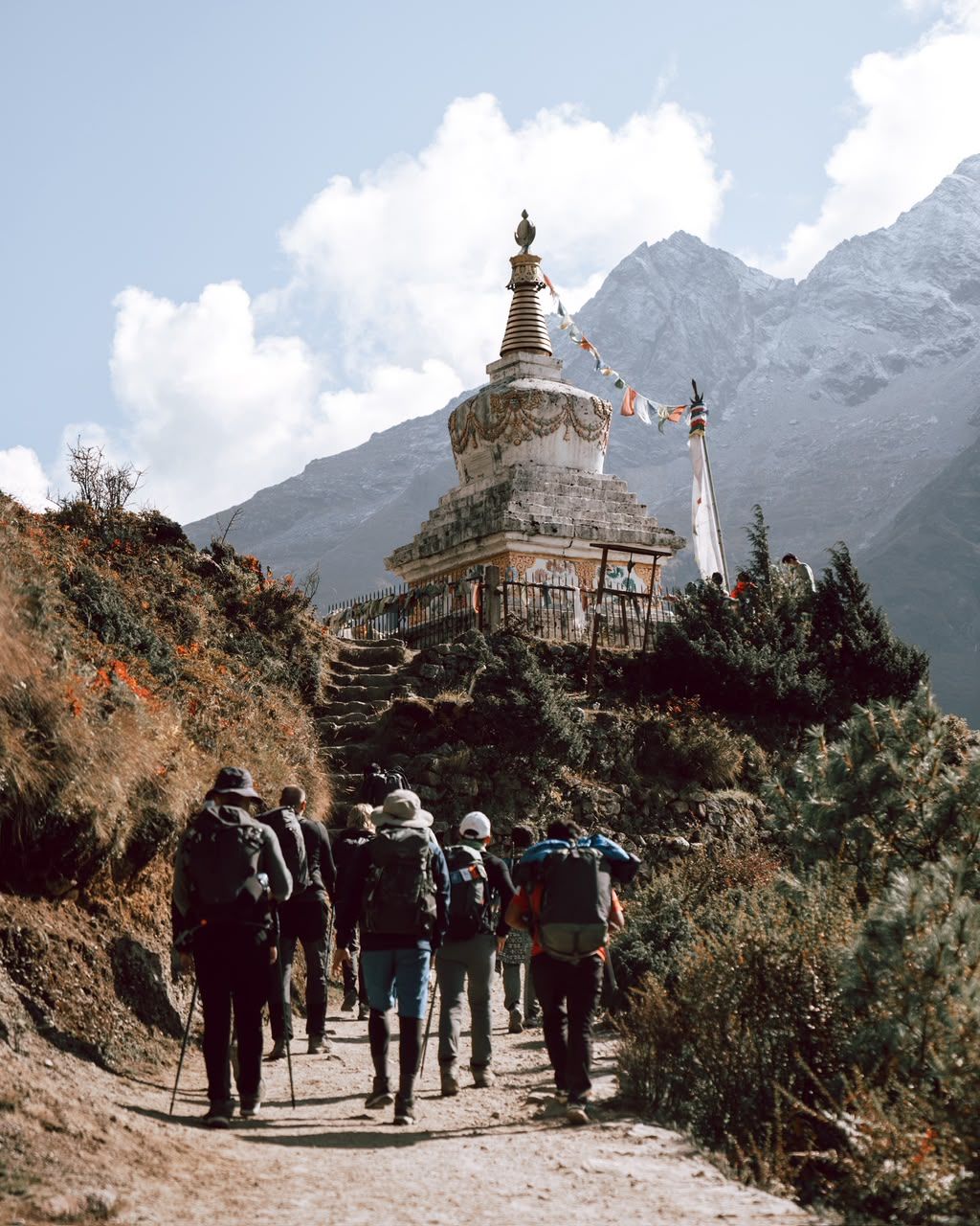 Mountain Lodges of Nepal - Deboche thumbnail 12