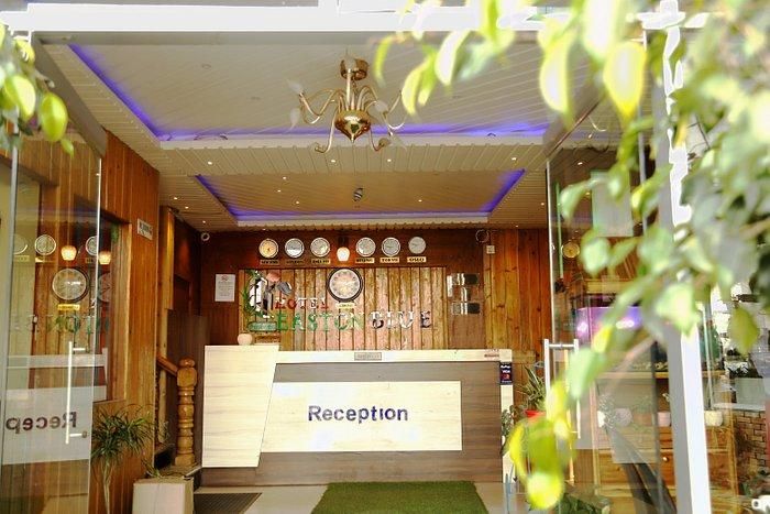 Hotel Eco Tree thumbnail 10