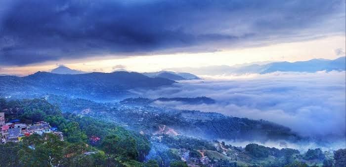Palpa 
